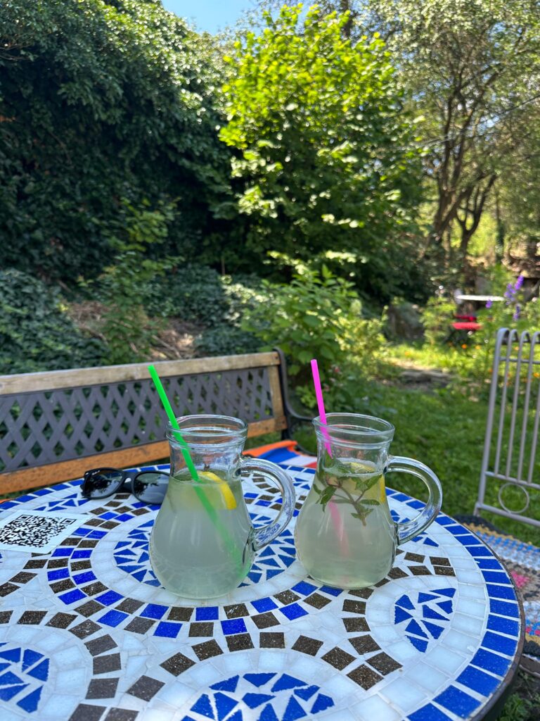 Curtea verde unde se află Cafeneaua Green Coffee House Saschiz, cu Cetatatea Țărănească Saschiz pe deal