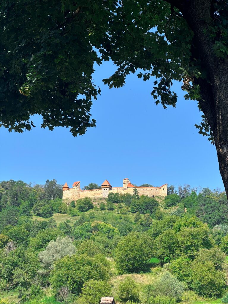 Cetatea Țărănească Saschiz văzută din satul Saschiz