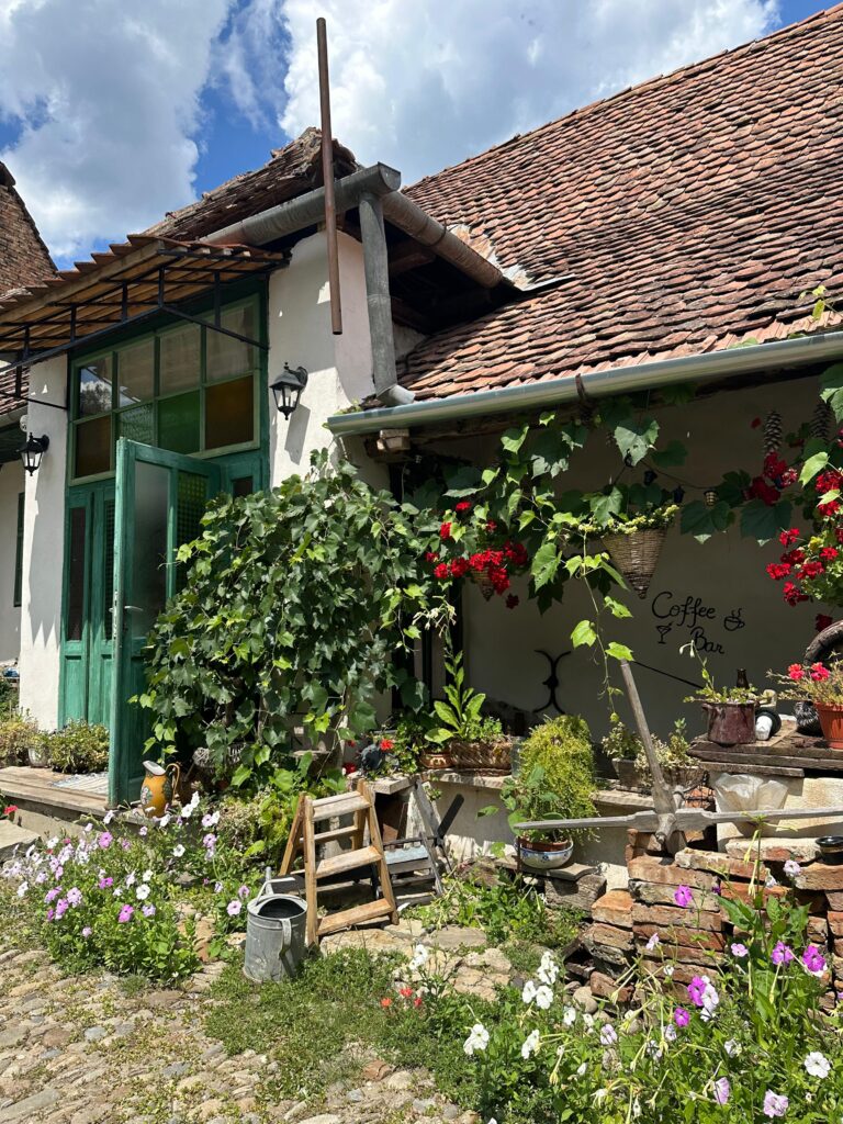 Cafeneaua Green Coffee House 175 Saschiz