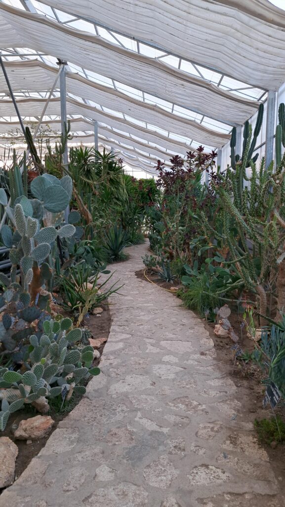 Sera de cactuși din Grădina Botanică a Castelului Reginei Maria din Balcic