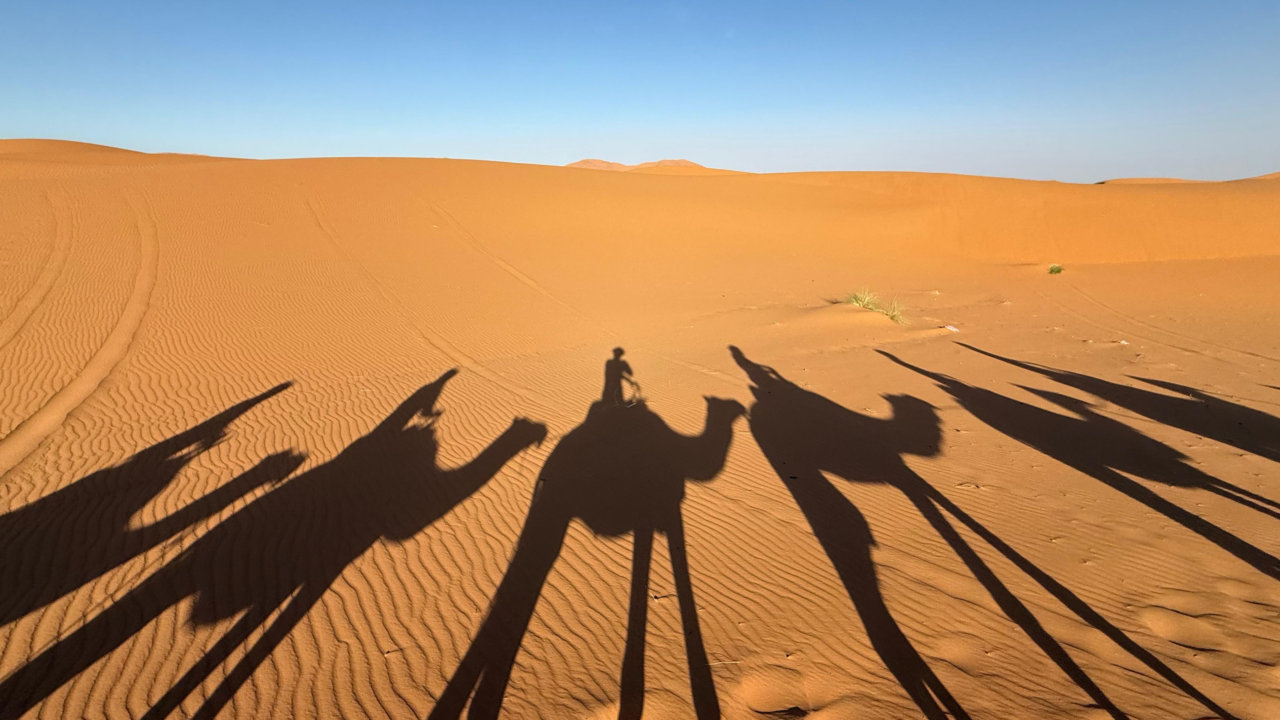Descoperă deșertul Sahara pe cont propriu