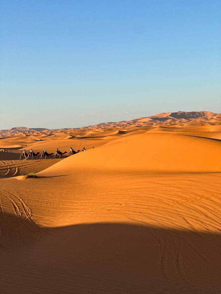 Dunele din Desertul Sahara