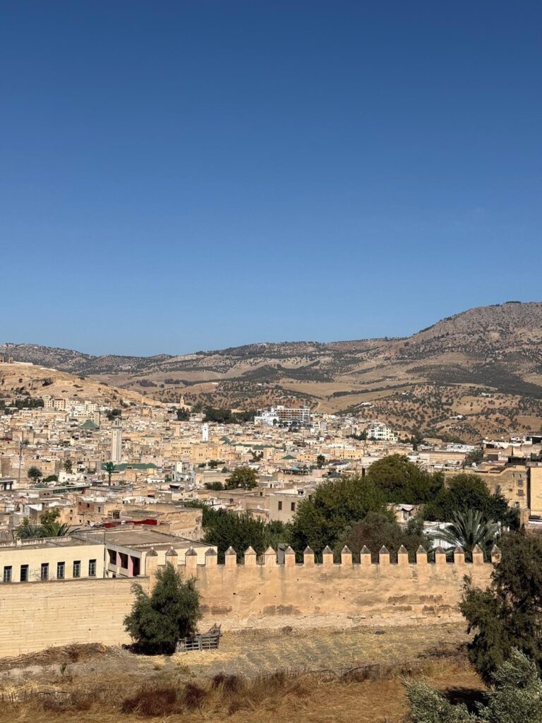 Fes – panorama orașului Fes, cu acoperișurile medinei, minaretele și munții din jur, oferind o privire de ansamblu asupra orașului vechi.