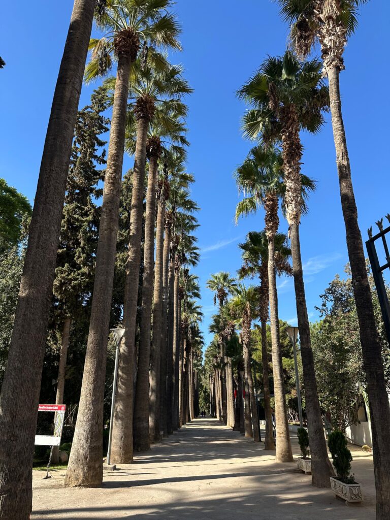 Parcul Jnan Sbil – parc verde și liniștit în Fes, Maroc.